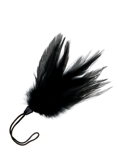 Plumeau noir DARKNESS 17cm
